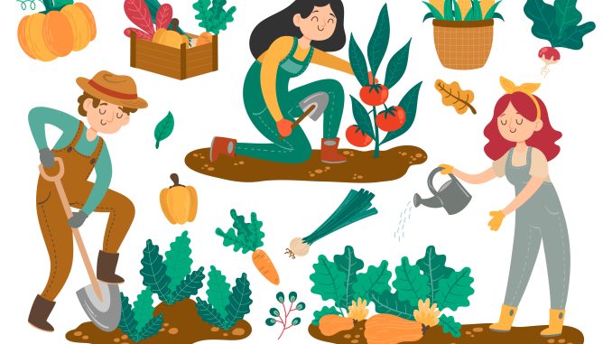 Día Internacional de la Mujer Rural