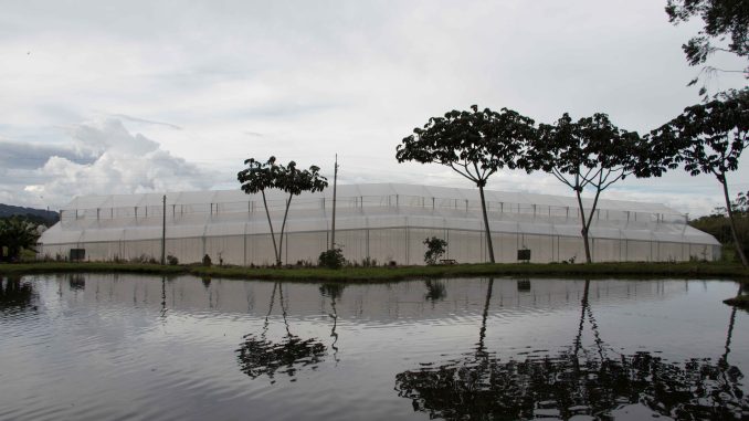 Espejo-de-agua-La-Selva