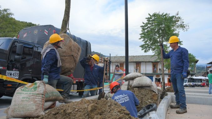 Siembra de nuevos árboles parque de El Retiro