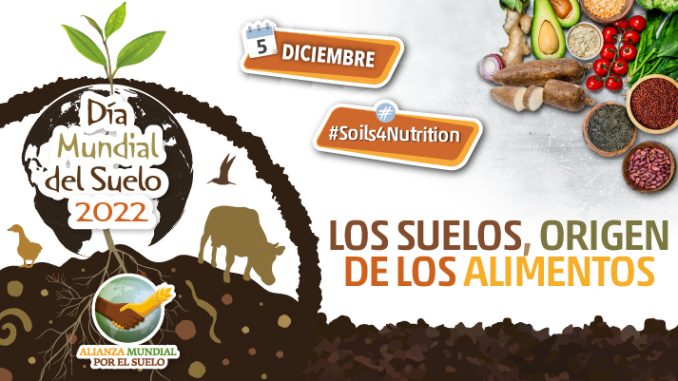 Día Mundial del Suelo