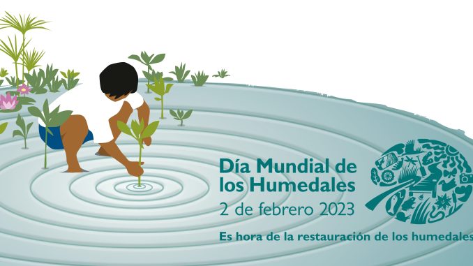 WWD23_poster_SP.indd