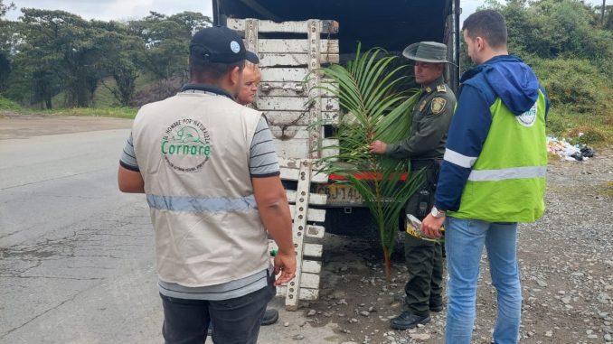 Operativos Fauna Silvestre