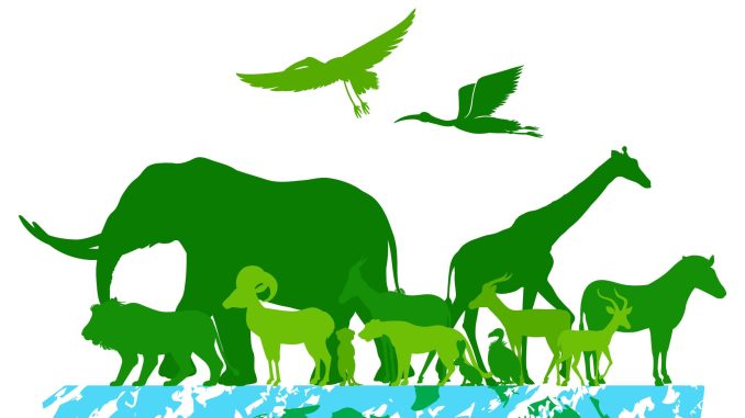 Día-Internacional-de-la-Biodiversidad