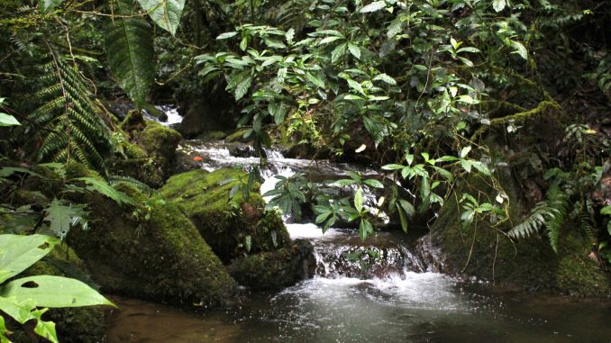 Quebrada-de-Abejorral