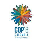 La flor de Inírida inspiró la imagen de la COP16 ‘Paz con la Naturaleza’