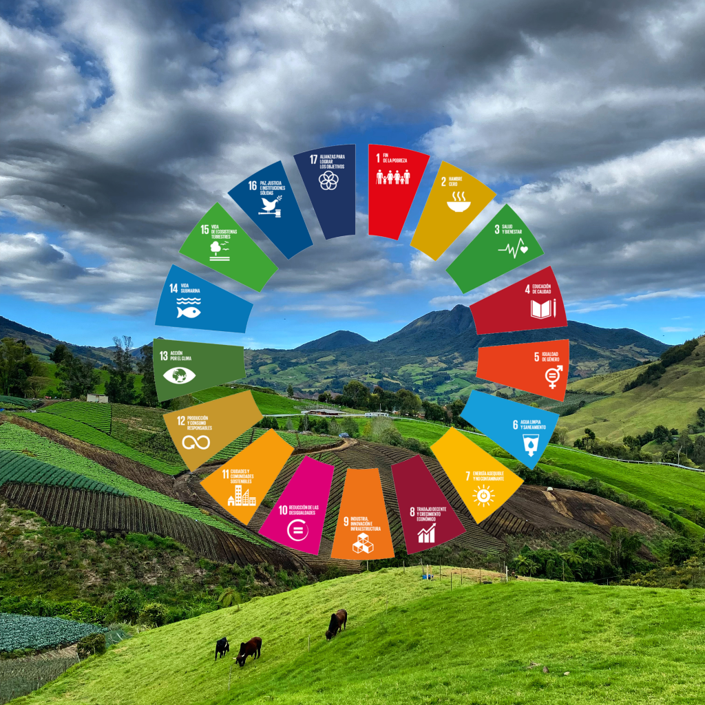 Agenda 2030 y ODS: el reto del desarrollo sostenible en el Oriente ...