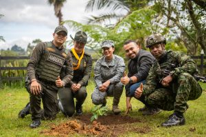Región Cornare logra el índice de deforestación más bajo de Antioquia, mientras Colombia pierde más bosque