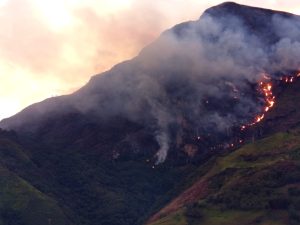 Incendio forestal en Las Lomas mantiene en alerta a Abejorral: bomberos completan más de 12 horas de trabajo continuo