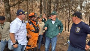 Gobernador anuncia recompensa de $500 millones para identificar responsables de incendios en Abejorral, Antioquia