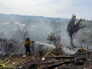 51 incendios forestales arrasan cerca de 60 hectáreas en la región Cornare por efecto de El Niño