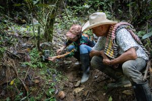 Cornare instala cerca de 80 cámaras trampa para monitorear la fauna silvestre del oriente antioqueño