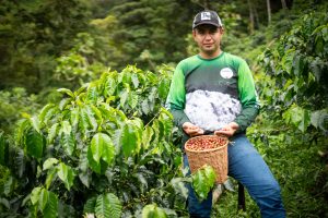 Cornare abre la quinta convocatoria «Tejiendo Vida» con $900 millones para proyectos comunitarios en Áreas Protegidas