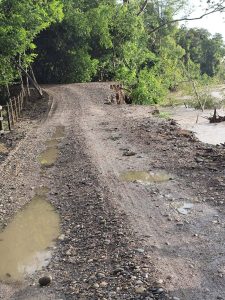 Consejo de Estado ordena soluciones definitivas a la erosión del río La Miel en San Miguel, Sonsón
